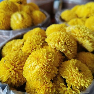 ���ݻʾ�ɢ�b500g���l�����Sɽ����Դ�ʾվջ���һ��һ���a��؛Դ