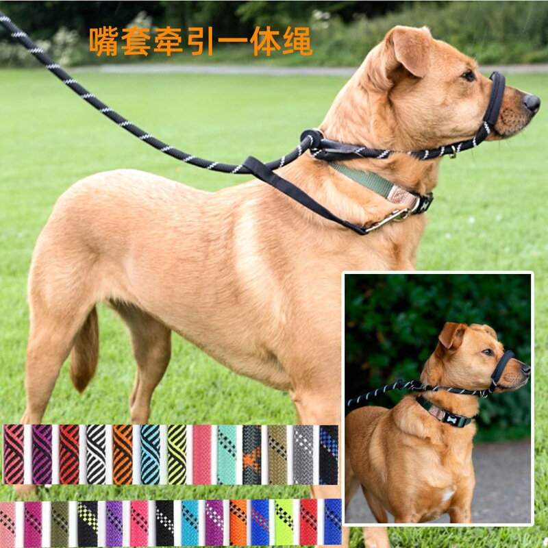 Integrated Collar and Anti-Bark Muzzle in Stock, Dog Leash for Outdoor Walking, P-Leash, Amazon Hot-Selling Wholesale