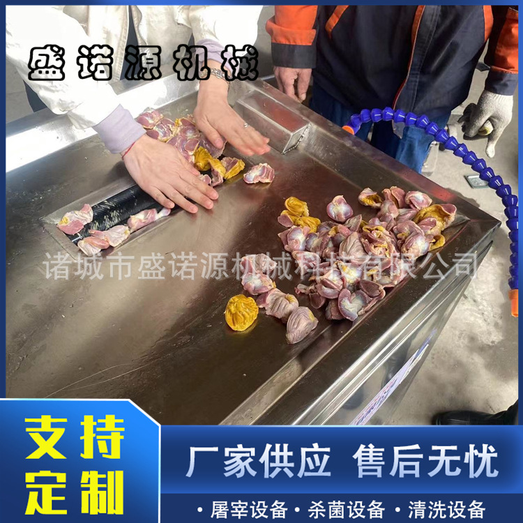 鸡胗剥皮机 家禽鸡内金去黄皮机 鸡胗扒黄皮机 家禽屠宰加工设备