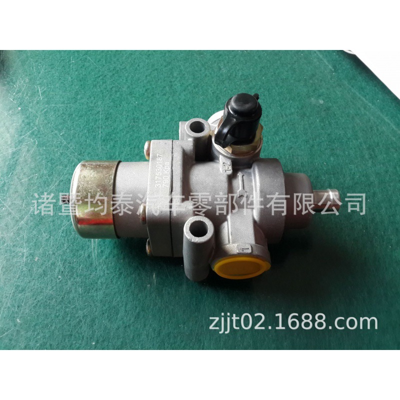 El Autobús Europeo de descarga del camión pesado de la válvula 317530187 parte SMT