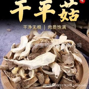 ���lƽ���lOyster mushroom ƽ���� �漧�� �l�� ʳ�þ���؛���l