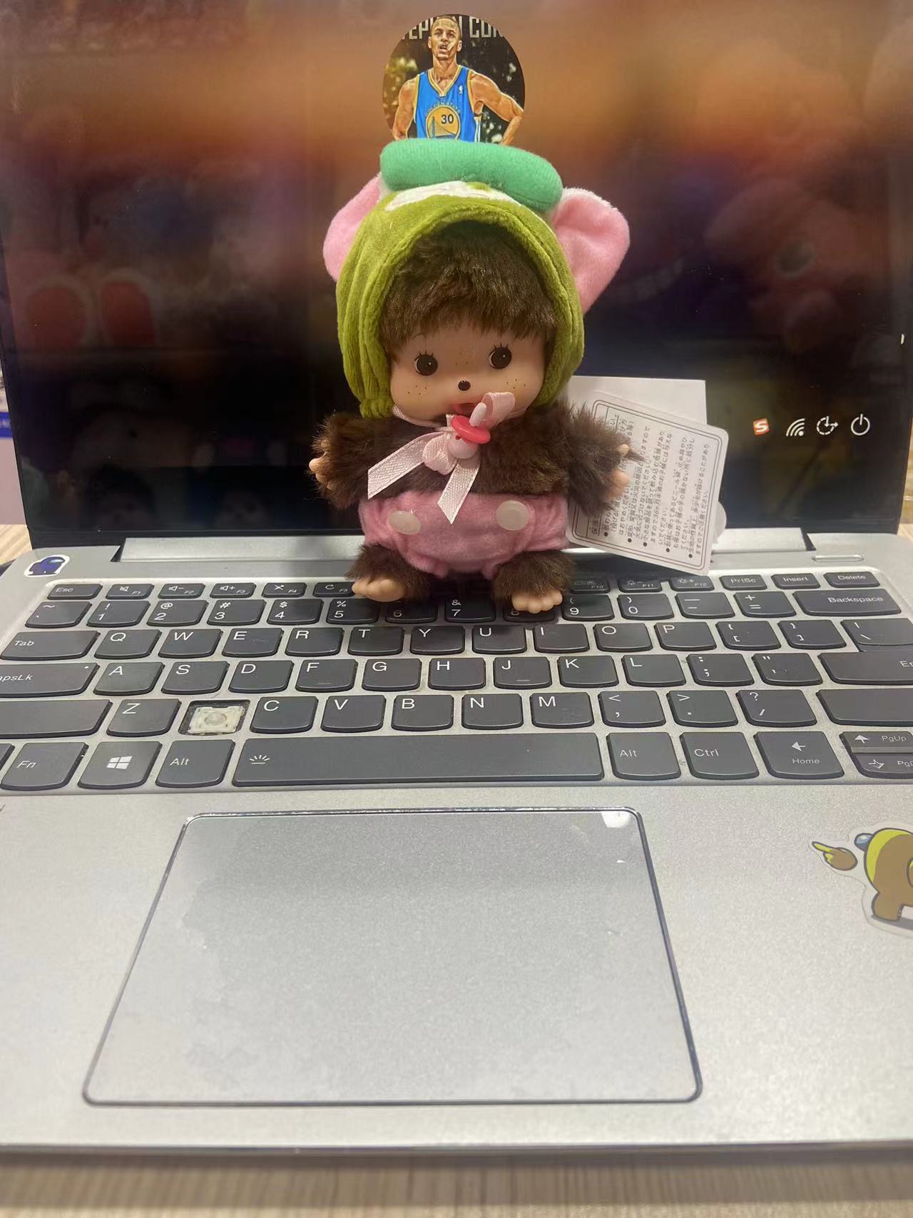 녹색 고양이