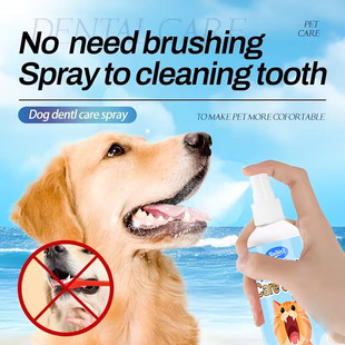 ����X��ǻˮ���������坍���F����ˮ������ζ�ڳ���ζ�־�ͨ��