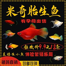 �t�����~̥���~С���~���w�Ꭷ�^�p�~�����~��ȸ�~���B�t���¹��~