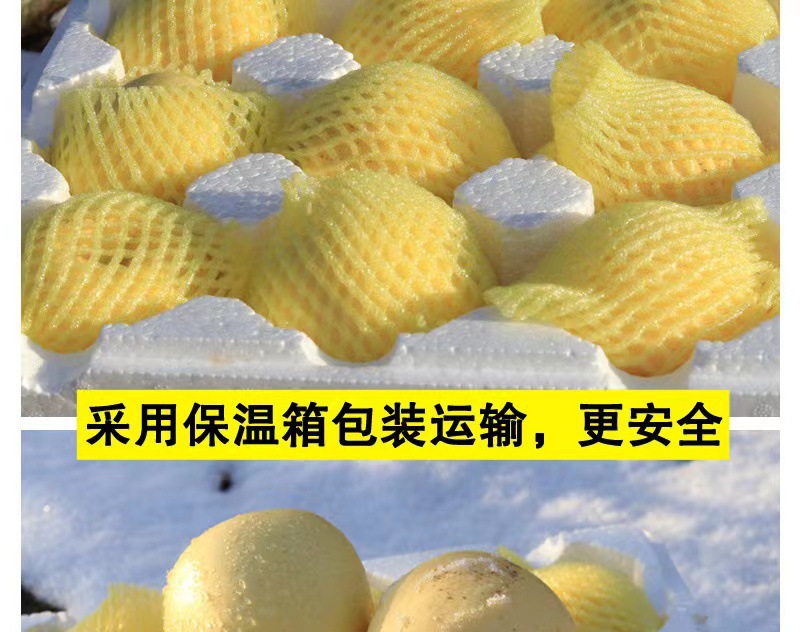 32a159ab245a5c7d02d9616c2c1f2f