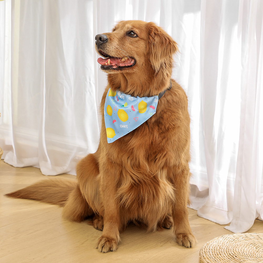 Suministro directo de fábrica nuevo transfronterizo exclusivo para mascotas perro saliva toalla bufanda perro triángulo bufanda perro bufanda ropa para mascotas