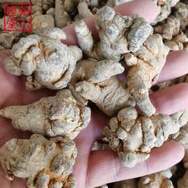 三七现货批发包邮三七根条根须各种规格云南文山田七高含量三七头