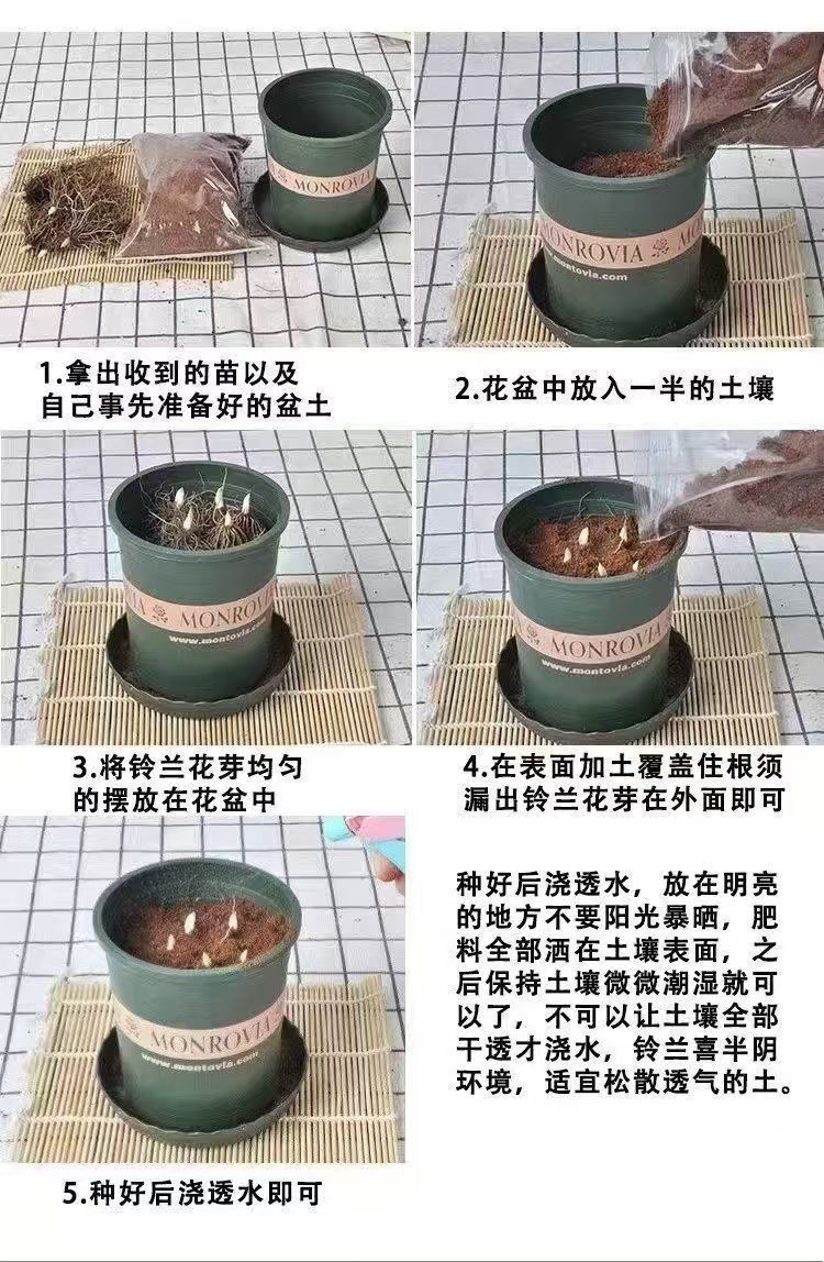 ff0fc5cb-b85e-4e1c-ac1c-f1237cf8f210.jpe