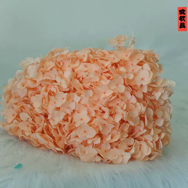Orange pink/support