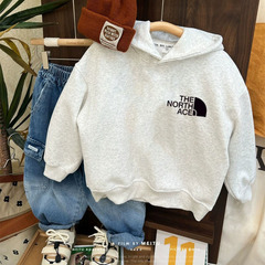 Fleece children's clothing hooded sweatshirt autumn and winter 2025 trendy brand versatile cute children's boys and girls thickened warm tops