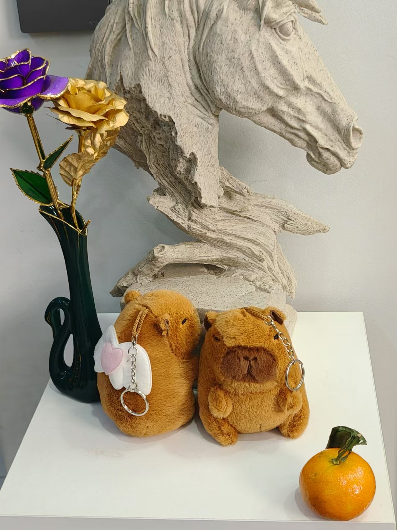 갈색 천사 카피바라