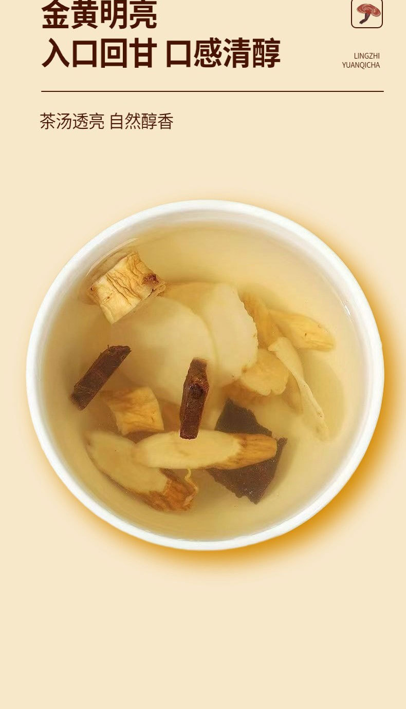 Lingzhi Vitality Tea Ling Zhi Yuan Qi Cha Herbal Tea Bags with Codonopsis Astragalus and Ginseng 30g 10 Bags in use
