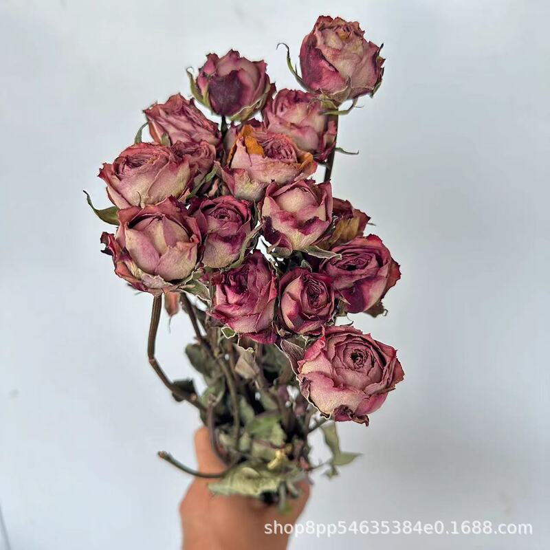 多頭バラ泡薔薇乾花薔薇花束雲南乾花滴糊花フォトフレーム花材補助材飾り|undefined