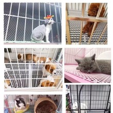 ��ɫ����ƽ�W�����_�|�����_�W���Bֳ���r©�S���o�W�u���û\����