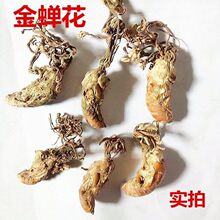 ș s Ұs sӼ Ӽ x x؛]