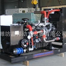 50/100/300KVȼ��l늙C�Bֳ�������Ӛ�l늙C�M���Sֱ�N