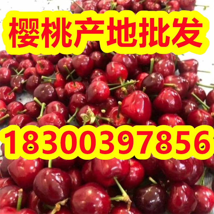 43711af3793e976605b212e7600ed0