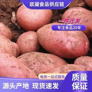 ��ϼtƤ�S�ķ�ŴС���� ���l5�����r�R��푪���߲˷Ƕ�ʩ����