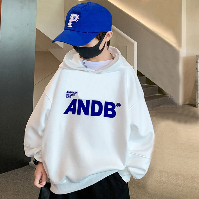 Children's Hooded Sweatshirt for Boys, Unisex Sweatshirt, New Cartoon Style Sweatshirt for Kids, Autumn Sweatshirt, Hooded Sweatshirt for Children