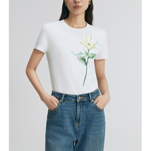 ��NC���Ρ�2026���ļ��¿�ͨ�ڶ���T��Ů�b���^���|�����@������