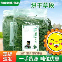 �����Ħ���ݸɲ������ݺ����݌�����؈���Ӳ�������m�i�Z�ݰ��]