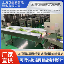 定制高速高效包装理料线现货热卖，自动化程度高，快速提升产能