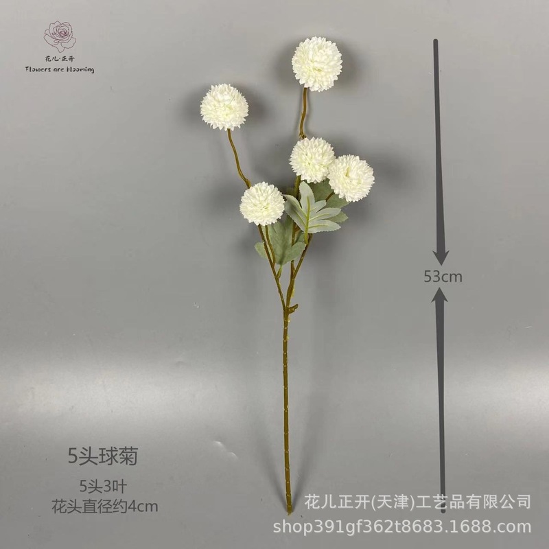 国境を越えた供給 5 ヘッド卓球菊タンポポネギボールメーカー卸売結婚式ホテル家の装飾シミュレーション花|undefined