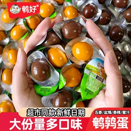 卤蛋蛋干类;代用/养生茶