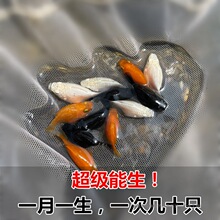 �������~ ̥���~ Ƥ���~ �Ꭷ�~ ���ֺ��B�~ �����~���w���l����