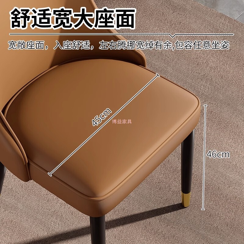 餐椅家用现代简约餐厅椅子靠背凳休闲铁艺餐桌椅北欧轻奢酒店椅子|undefined