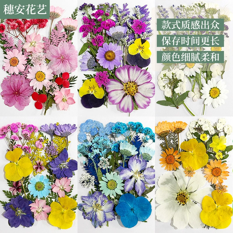 Сушеные цветы ручной работы, материал «сделай сам», вакуумная упаковка, фоторамка с сухими цветами, материал «сделай сам», упаковка с сухими цветами, многоспецификационные сухие цветы, бессмертный цветок