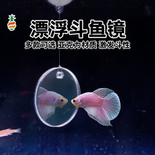 ���P�~���ⶺ�~�R���������~Ӗ���R�������_�h����Ư�����p���R