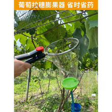 ꖹ�õ����������J�����F�����^șҺ�������������ڼӁ�