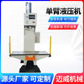 液压冲床 小型单臂10-315吨多功能全自动伺服冲孔裁剪成型液压机
