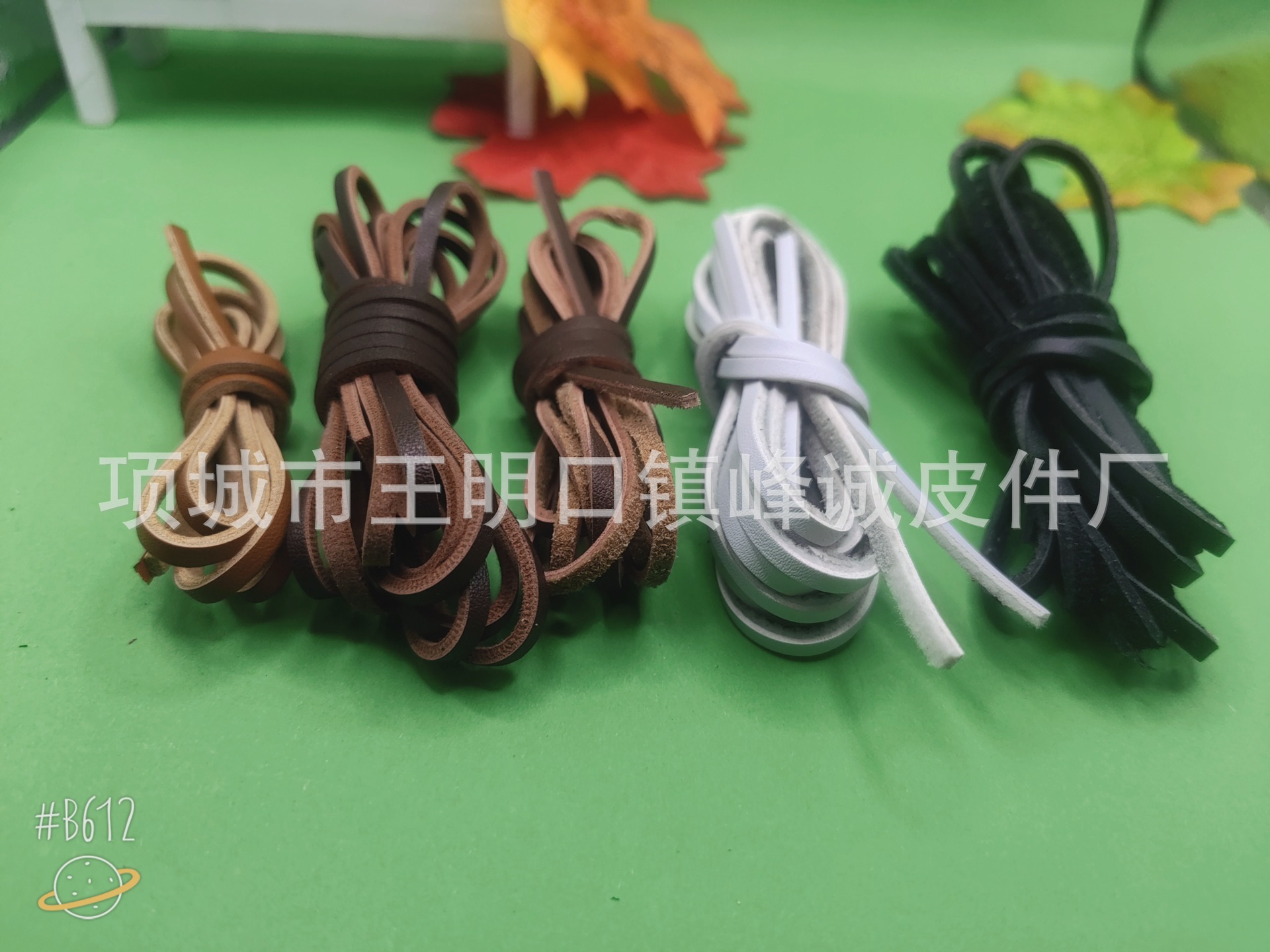 B612Kaji_20240119_203255_940