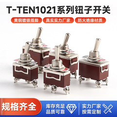 钮子开关E-TEN1021/1122/1221/1321/1322系列摇臂开关拨动棕色