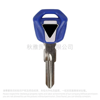 Triumph Motorcycle TRIUMPH675/T100/T900: Motorcycle Key - white-label-blue
