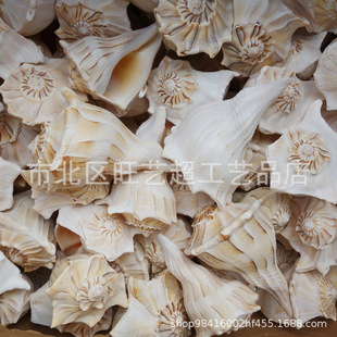 ���u�S���N�������� ����˱� ؐ��������ؔ����[���bgӭԃ��