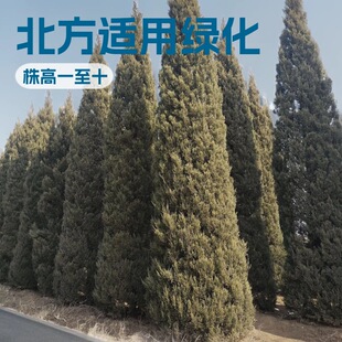 �������͘� �u���L���^�p������������ؘ���@�־G������ ������