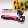 Pet comb teddy golden hair dog dog opening special brush dog hair