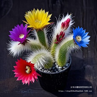 ��Ʒ�_����β������ֲ�������ƺ�β��ܛë�Lëβ���k����ݗ������