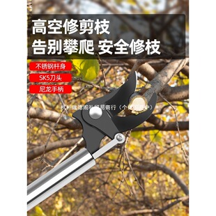 ��֦�������治�P���֦�����߿ռ���֦��������@���L���������