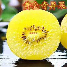 �S���殐���J���Ҙ����Ի��ڷ����Ե����Ϸ������Nֲ�ͺ��������