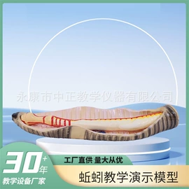 教学演示用品;教学仪器;数理教学器材