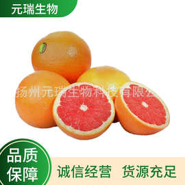 西柚提取物 日化用品添加剂西柚提取液 植物萃取扬州元瑞生物厂家