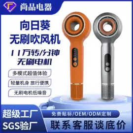 面罩美容仪;电吹风;电子美容仪