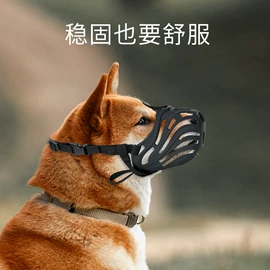 其他美妆工具;分装瓶;面膜纸/碗