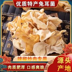 ウサギ耳菌 大竹耳 中国東北部産 乾燥品 長白山産 大白玉菌 商用 家庭用 栄養補給