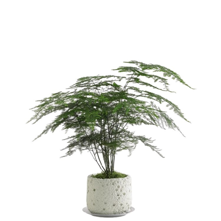 教师办公桌摆件