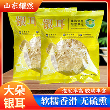 ԭɫ�y��С���b���ݰl�������ľ����؛�z�|ճ���Ⱥ��ľ�y��